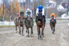 20251102-134900-DSC_8499