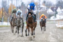 20251102-134901-DSC_8505