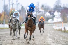 20251102-134901-DSC_8514