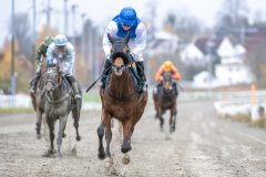 20251102-134901-DSC_8515