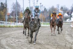 20251102-134902-DSC_8520