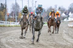 20251102-134903-DSC_8526