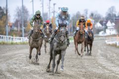 20251102-134903-DSC_8528