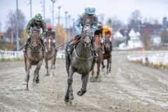 20251102-134903-DSC_8533