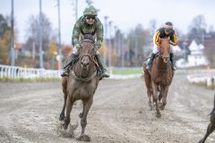 20251102-134904-DSC_8542