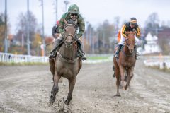 20251102-134904-DSC_8544