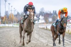 20251102-134906-DSC_8568