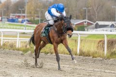 20251102-134917-DSC9053