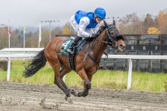 20251102-134918-DSC9058