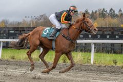 20251102-134921-DSC9066