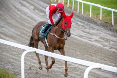 20251102-140643-DSC_8609