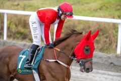 20251102-140644-DSC_8612