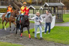 20251102-140652-DSC9214