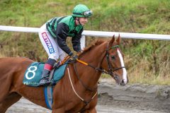 20251102-140701-DSC_8655