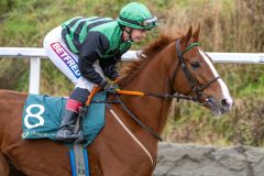 20251102-140701-DSC_8660