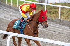 20251102-140708-DSC_8678