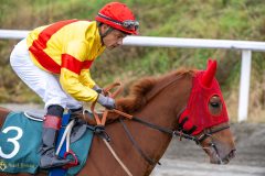 20251102-140709-DSC_8683