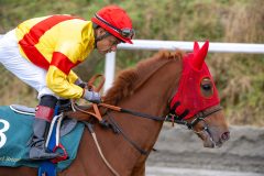 20251102-140709-DSC_8685