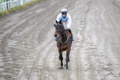 20251102-140720-DSC_8698