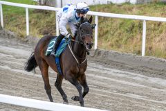 20251102-140724-DSC_8715