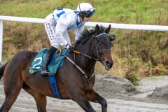 20251102-140724-DSC_8722