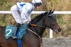 20251102-140725-DSC_8731