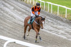 20251102-140755-DSC_8783