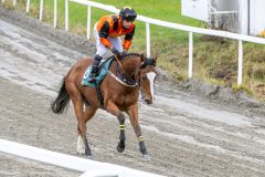 20251102-140756-DSC_8791