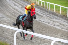 20251102-140757-DSC_8795