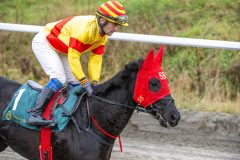 20251102-140758-DSC_8816