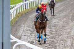 20251102-140804-DSC_8827