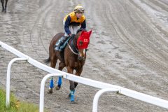 20251102-140808-DSC_8843