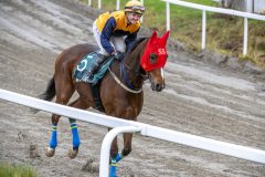 20251102-140809-DSC_8849