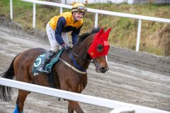 20251102-140810-DSC_8857