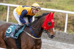 20251102-140810-DSC_8861