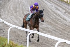 20251102-140814-DSC_8887