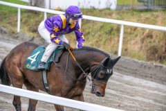 20251102-140815-DSC_8903