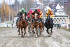 20251102-141320-DSC_9029