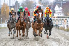 20251102-141320-DSC_9045