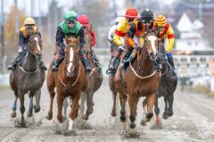 20251102-141321-DSC_9053