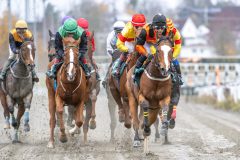 20251102-141321-DSC_9056