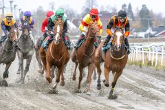 20251102-141322-DSC_9058