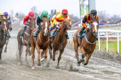 20251102-141322-DSC_9068