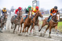 20251102-141322-DSC_9073