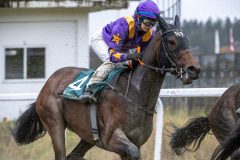 20251102-141324-DSC_9094