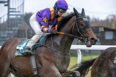 20251102-141324-DSC_9096