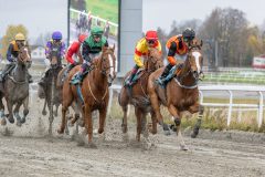 20251102-141337-DSC9254