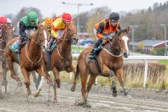 20251102-141338-DSC9259