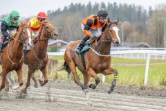 20251102-141338-DSC9262