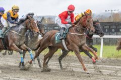 20251102-141339-DSC9265